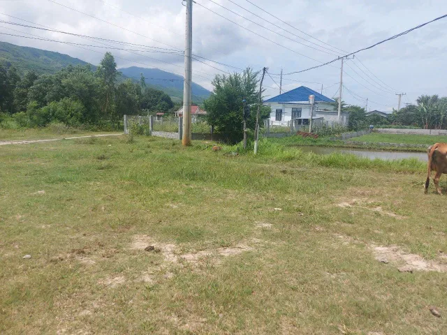 Bán Vừơn QL1A - Nam Vịnh CR - KH