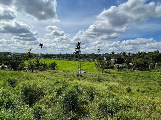 🔥 ĐẤT SIÊU ĐẸP – MẶT TIỀN ĐƯỜNG NHỰA HOÀ THẮNG 🔥