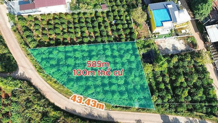 Góc 2 mặt tiền đường hơn 43m, view đồi Thông. chỉ 5km chạm Tp. Đà Lạt. Giá 1.3 tỷ/580m2. TC 100m2