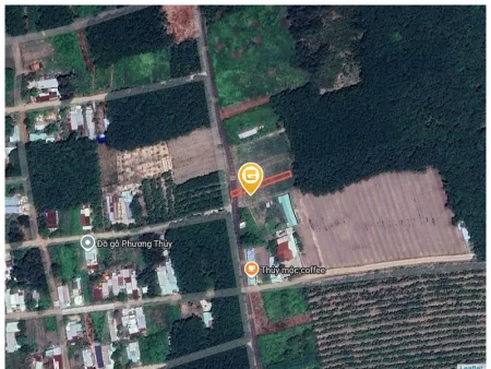 Bán đất 294.8m² có sẵn 100m² thổ cư ngang 5m tại Xã Phước Thành