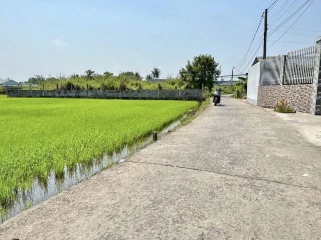Bán 1036m² Lúa đường oto 5m, cách 100m đường Tỉnh 833C, Giá 1.65 tỷ tại xã Nhựt Tảo, Tây Ninh