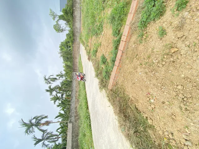 Lô góc , sẵn bìa
