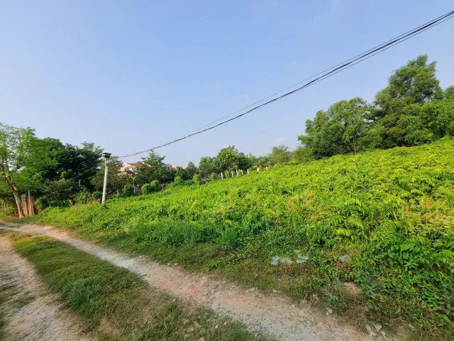 (S866) Đất xã Thái Mỹ, dt 2.332m2, đất ở khsx chưa thổ, giá  3 tỷ 500 thương lượng