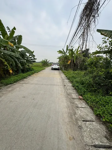 Chủ cắt lỗ cần bán gấp 90 m Lâm Động đường liên thôn. L/h:076,231.9990 em Thúy 
Đường thông các ngả 
Từ lô đất nhìn  ra Tái Định Cư Lâm và đường vành đai 2 
Rất tiềm năng đầu tư