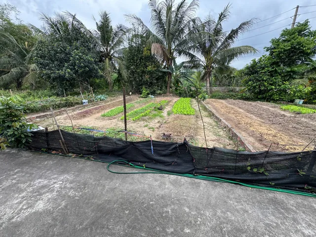 🔥🔥🔥Chưa đến 1 tỷ sở hữu ngay lô đất 80m2 
L/h:076.231.9990 em Thúy 
Kiền Bái cũ  ngõ oto đỗ cửa ko chút lỗi lầm,xung quanh dân cư đông đúc giàu có,ngay cạnh khu công nghiệp
