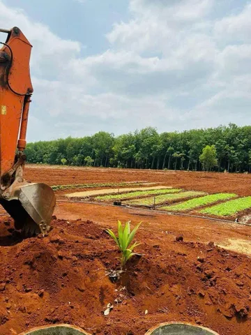 Bán đất 1118.9m² ngang 11m giá 275 triệu tại Phường Đồng Xoài