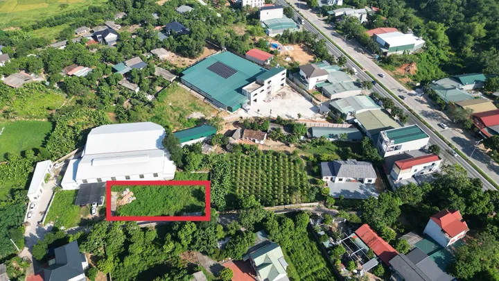Bán 100m2 đất ở Hoàng Hoa, Tam Dương, Vĩnh Phúc giá 790 triệu