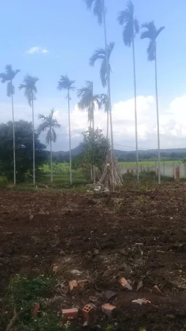Bán đất 4559.7m² có sẵn 400m² thổ cư ngang 80m giá 10.5 tỷ tại Phường Ea Kao