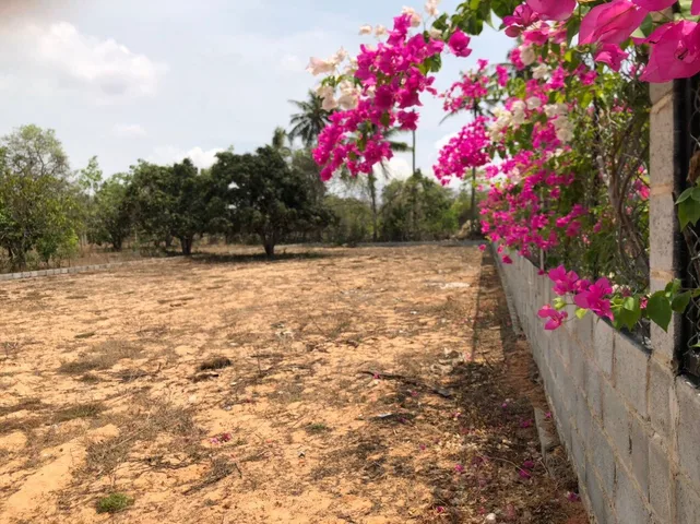BÁN ĐẤT 1000 m2 GIÁ 1.9 TỶ, CẠNH CHỢ THIỆN NGHIỆP,  SÁT BÀU SEN, 3 PHÚT TỚI BIỂN, 2 PHÚT TỚI SÂN BAY PHAN THIẾT, KHU VỰC HOMESTAYS CHUYÊN CHO TÂY THUÊ