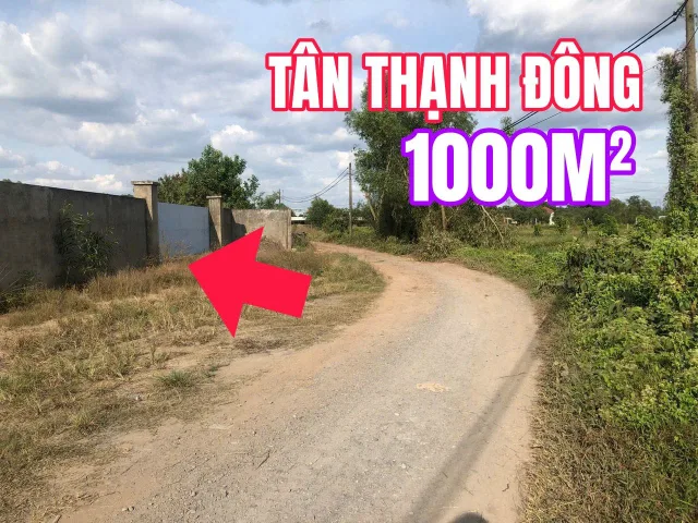 🟥Bán đất 1000m² Tân Thạnh Đông giá 3.5 tỷ tại Đường Nguyễn Kim Cương  Xã Phú Hòa Đông🟥