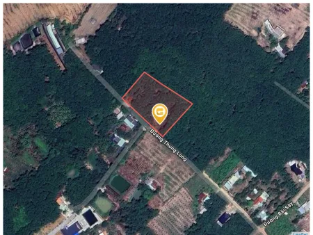 Bán đất 2567.9m² có sẵn 100m² thổ cư ngang 75m giá 650 triệu tại Xã Phước Thành