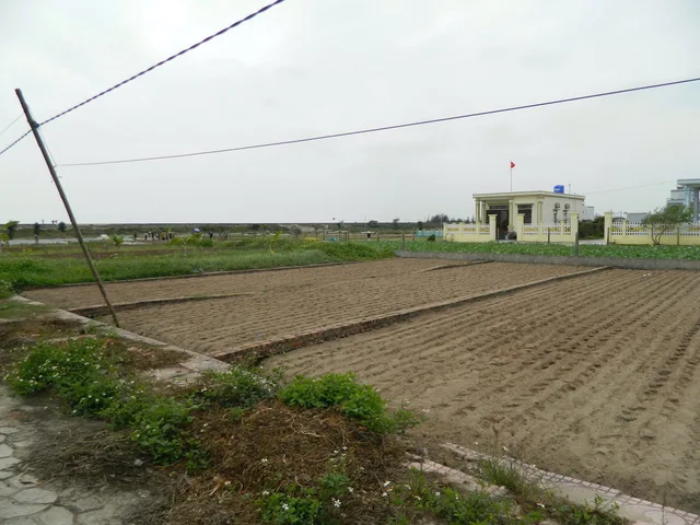 Đất biển Hải Thịnh, đặc khu kinh tế biển Ninh Cơ, sổ đỏ full thổ cư, giá rẻ