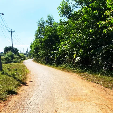 Bán Gấp - đất nền 5mx30 mặt tiền nhựa, ngay ngã tư Bảo Chánh P Xuân Lộc, TP Đồng Nai