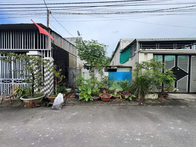 Lộc an đường nhựa thông giá bán 2ti