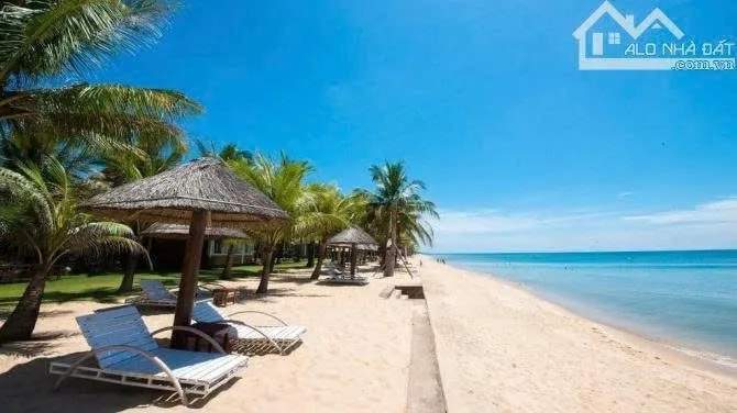 Đất thổ cư View Biển Quất Lâm, vị trí đẹp, ôtô tránh đỗ kinh doanh