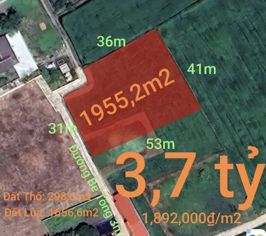Bán đất 1955m² có sẵn 298m² thổ cư ngang 31m giá 3.7 tỷ tại Xã Nhựt Tảo