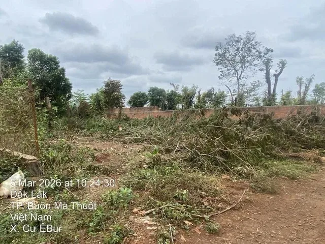 Nguyễn Đình Chiểu Sắp Làm Em Có Lô 8m Full Thổ Cư Giá Tốt Đầu Tư