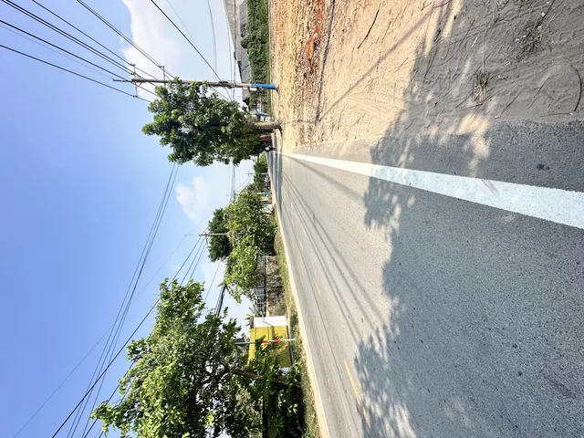 Đất Chính Chủ Cây Trôm Mỹ Khánh Củ Chi 200m vào đất . DT:1510m2