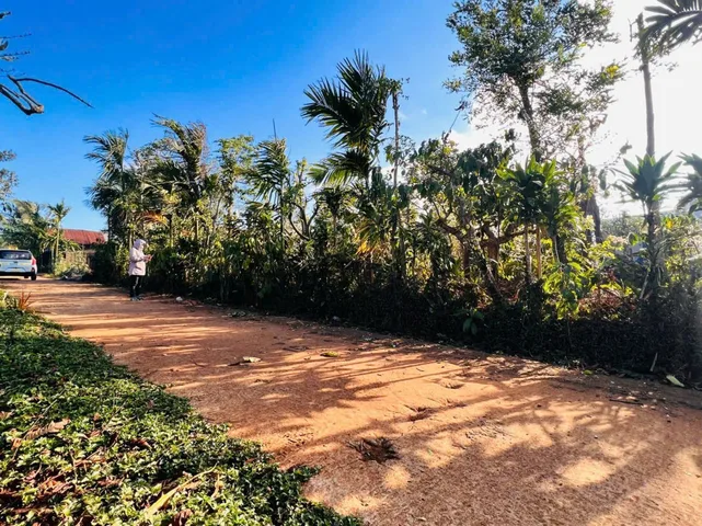 Bán đất 165m² có sẵn 60m² thổ cư ngang 5m giá 300 triệu tại Xã Ea Tul