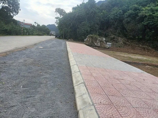 🔥 2 LÔ ĐẤT MẶT ĐƯỜNG QUỐC LỘ 21 – TRUNG TÂM BA HÀNG ĐỒI – CƠ HỘI VÀNG CHO NHÀ ĐẦU TƯ!