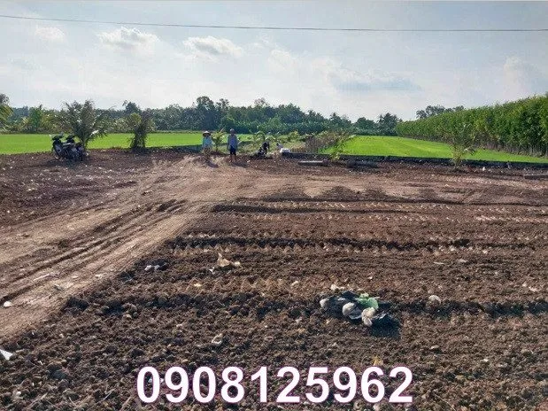 ⭐️Cần ra nhanh giá hữu duyên đất mặt tiền Quảng Lộ, Phụng Hiệp, Ngã Năm, Sóc Trăng (cũ), Tp.Cần Thơ, 0908125962