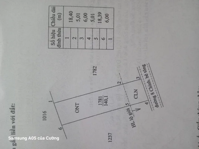 Cần bán đất nền xã Song Thuận, Châu Thành, Tiền Giang 6x23,4 full thổ, đường đan 2m, cách đường nhựa oto 30m
