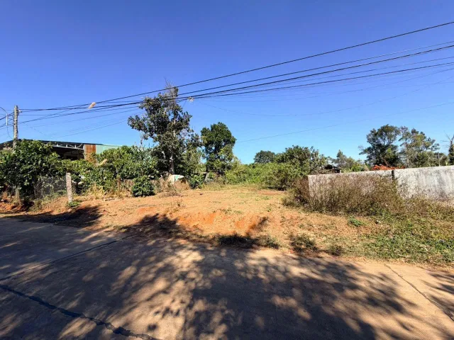 💥 Sang lô đất chân dài Bùi Dự gần sân bóng