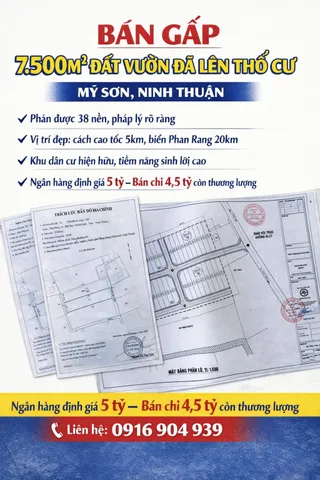 BÁN GẤP 7.500M² ĐẤT VƯỜN ĐÃ LÊN THỔ CƯ – MỸ SƠN, NINH THUẬN CŨ