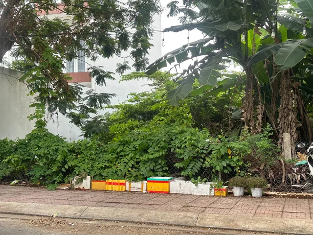Bán đất mặt tiền Lê Thị Riêng Quận 12 – Đất vàng khu biệt thự, giá tốt 7 tỷ TL