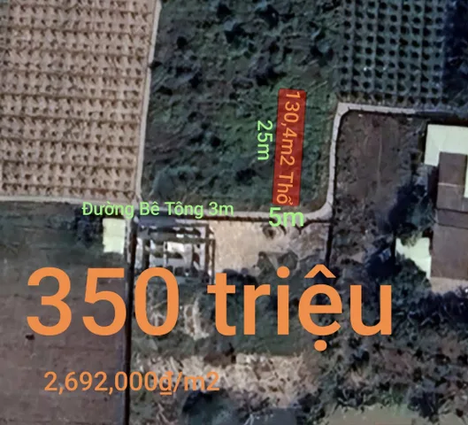Bán đất 130,4m² full thổ cư ngang 5m giá 350 triệu tại Xã Tầm Vu