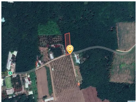 Bán đất 1117.2m² có sẵn 100m² thổ cư ngang 10m tại Xã An Long