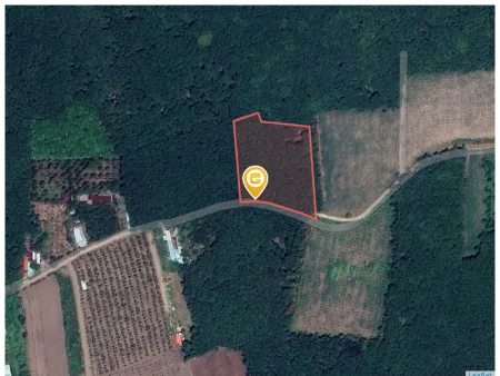 Bán đất 5563.3m² có sẵn 300m² thổ cư ngang 40m tại Xã An Long