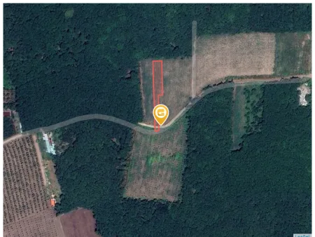 Bán đất 1007.7m² ngang 10m tại Xã An Long