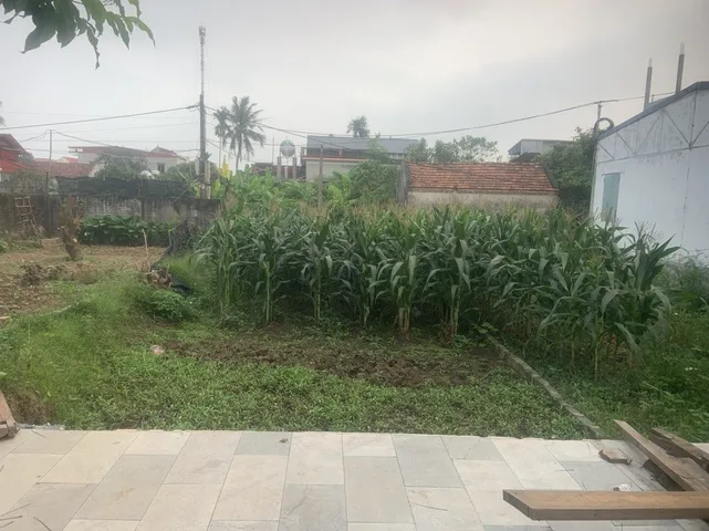 Bán đất 90m² full thổ cư ngang 6m giá 1.99 tỷ tại Xã Hồng Minh