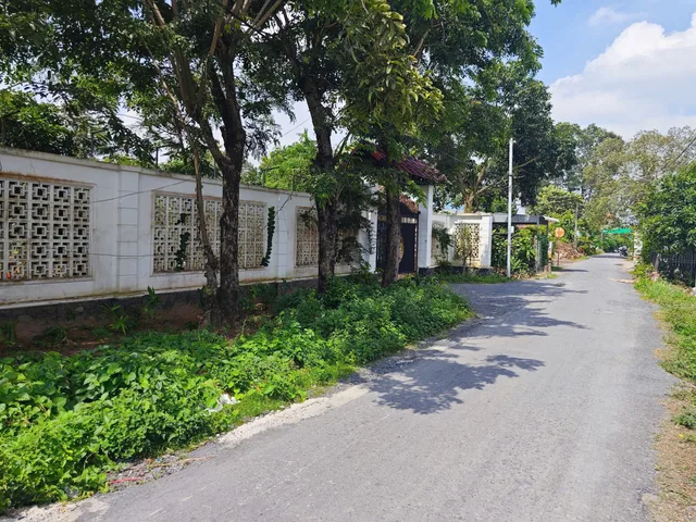 🌳 BÁN ĐẤT VƯỜN ĐƯỜNG NHỰA MỸ HÒA – GẦN CẦU PHÚ HÒA