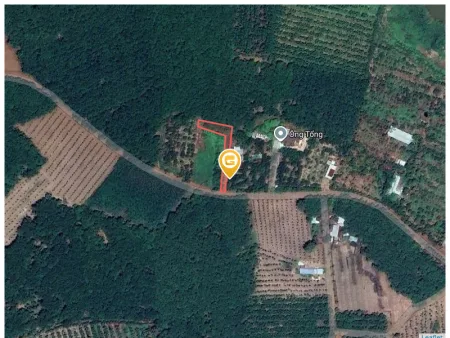 Bán đất 633.1m² có sẵn 100m² thổ cư ngang 10m tại Xã An Long
