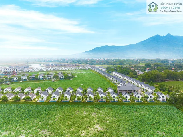 Biệt thự Vườn Vua đa dạng căn đẹp cho anh chị lựa chọn