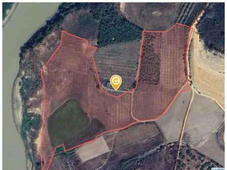 Bán đất 100000m² ngang 100m giá 6.5 tỷ tại Xã Hòa Sơn