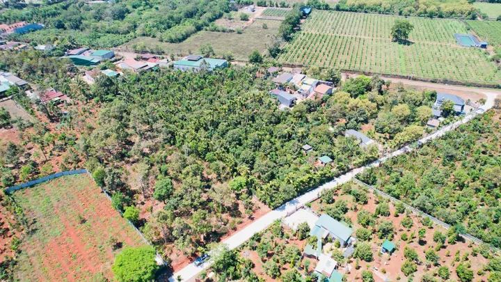 Bán đất 500m² ngang 10m giá 1.15 tỷ tại Phường Tân An