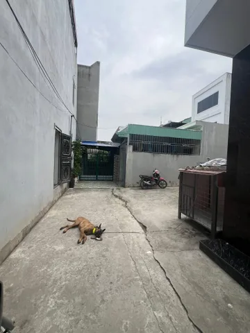🔥 BÁN LÔ ĐẤT 2 MẶT NGÕ CỰC ĐẸP – CAM LỘ, HÙNG VƯƠNG, HỒNG BÀNG, QUY HOẠCH TIỀM NĂNG 🔥