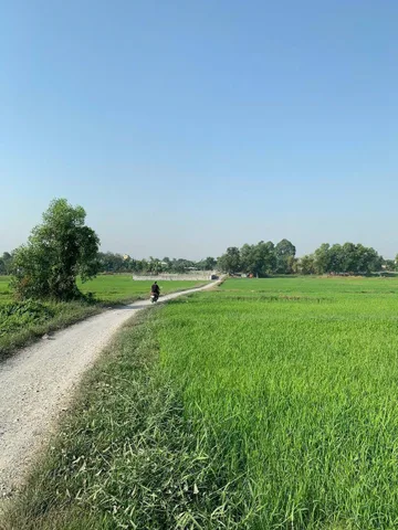 🍀 BÁN GẤP ĐẤT VƯỜN SỔ HỒNG RIÊNG GẦN VINHOMES HÓC MÔN