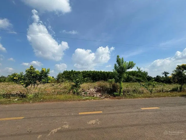 Bán đất tại Xuân Đông, Cẩm Mỹ, Đồng Nai, giá cực tốt