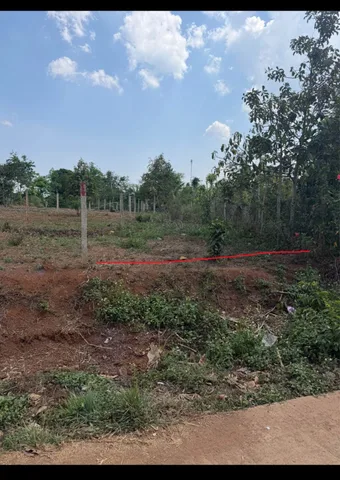 Bán đất 260.3m² có sẵn 60m² thổ cư ngang 5m giá 295 triệu tại Xã Ea Drông