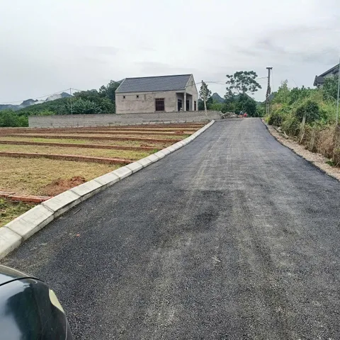 🔥 CƠ HỘI ĐẦU TƯ ĐẤT NỀN GIÁ TỐT TRUNG TÂM XÃ AN BÌNH – CHỈ TỪ 225TR/LÔ 🔥