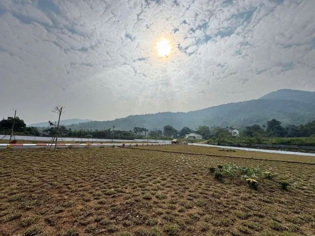 LÔ GÓC 590m² – 2 MẶT TIỀN – TRUNG TÂM VÙNG DU LỊCH NGHỈ DƯỠNG Cư Yên