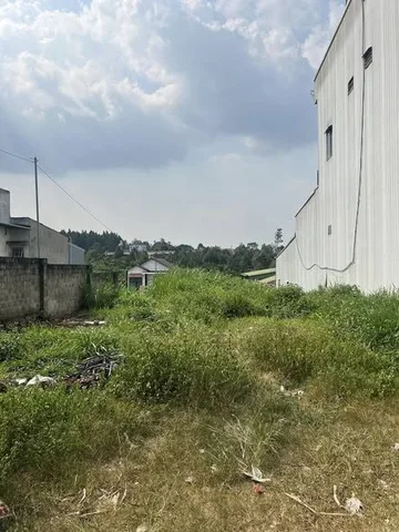 Bán 1000m2 - nhánh Nguyễn Tri Phương-  Lộc Tiến Bảo Lộc