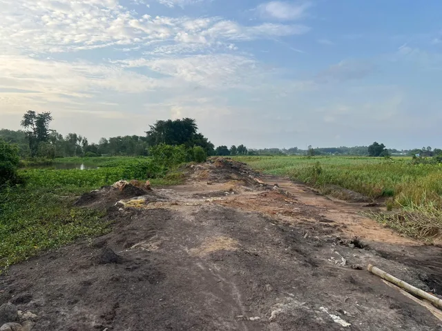 🟥Bán đất 6000m² giá 7.8 tỷ tại Đường Nguyễn Thị Nị Xã Tân Thạnh Tây (Phú Hòa Đông mới)