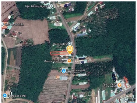 Bán đất 733.9m² có sẵn 100m² thổ cư ngang 20m tại Xã Phước Thành