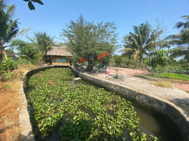 NHÀ VƯỜN BÌNH MỸ,CỦ CHI-1193M2 CÁCH MẶT TIỀN ĐƯỜNG CHÍNH BÌNH MỸ 200M-CHỈ 6.7TY