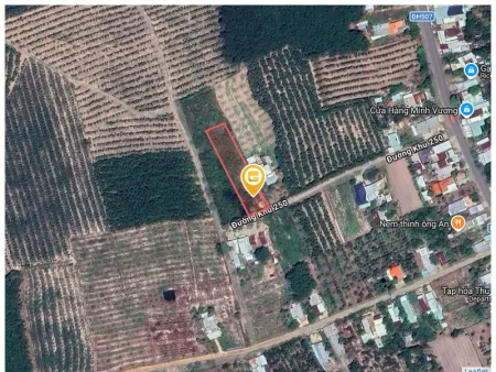 Bán đất 1770.3m² có sẵn 100m² thổ cư ngang 20m tại Xã Phước Thành